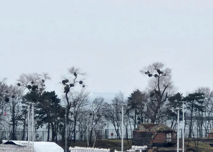 Διαμέρισμα Sea & Sun Letnica Γκντανσκ